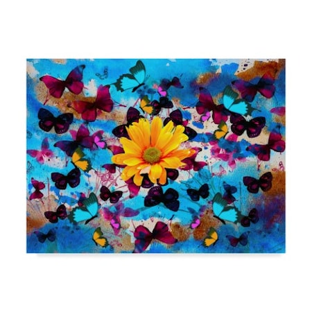 Ata Alishahi 'Daisy And Butterflies' Canvas Art,24x32